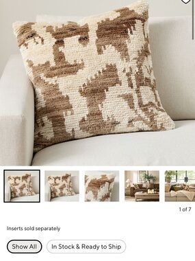 Pottery Barn Blue & Cream Ikat Throw Pillow